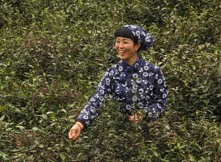 84间房主播跳舞 直播 霓虹后台